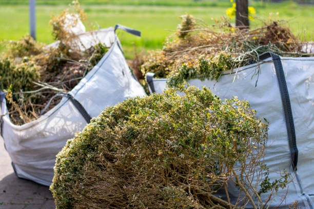 Best Estate Cleanout  in Lewistown, IL